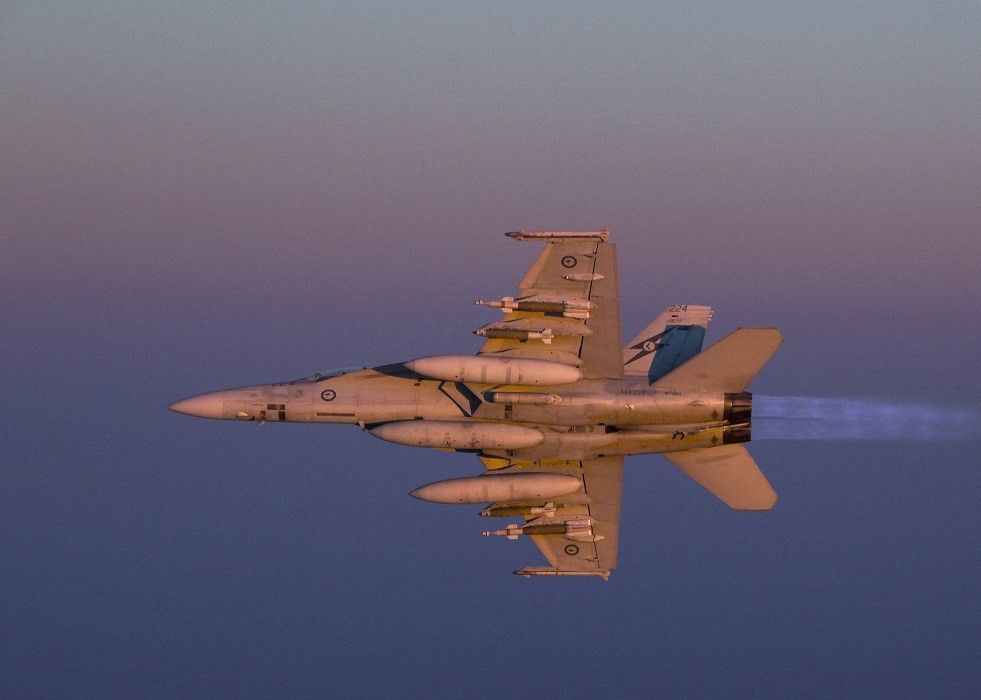 Ukraine might get F/A-18 Hornet from RAAF