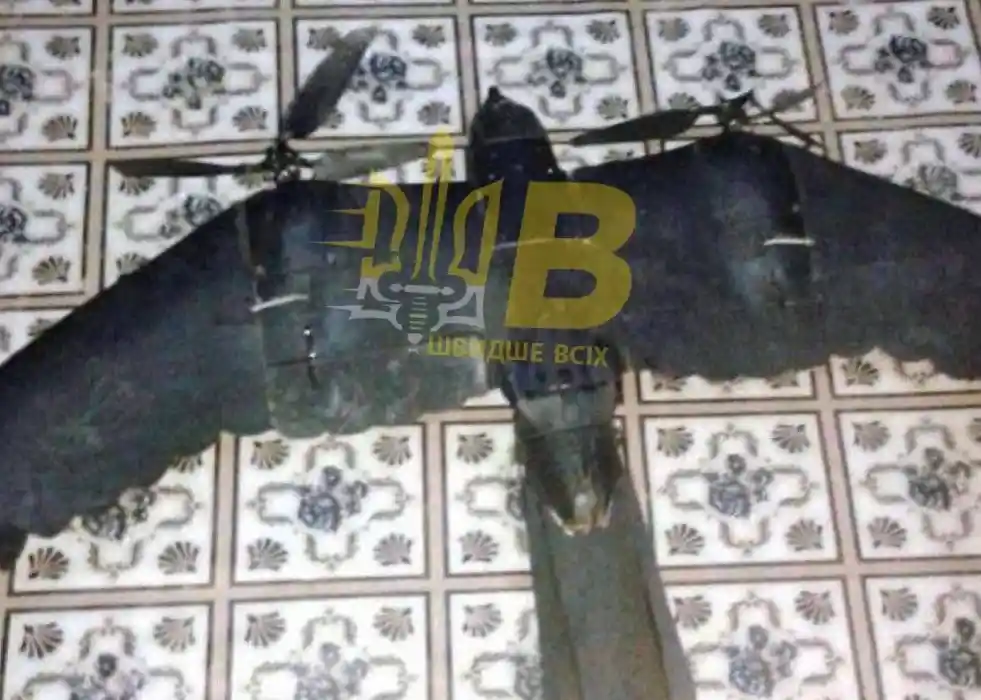 Russia Produces Bird-Like UAVs to Evade Visual Identification